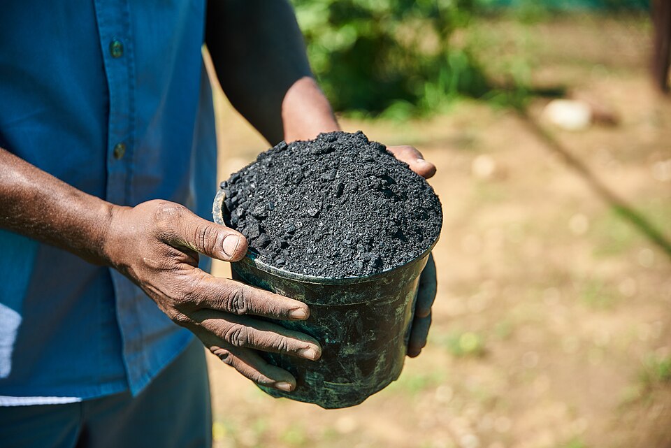 Biochar, Arang Hayati untuk Tingkatkan Kesuburan&nbsp;Tanah