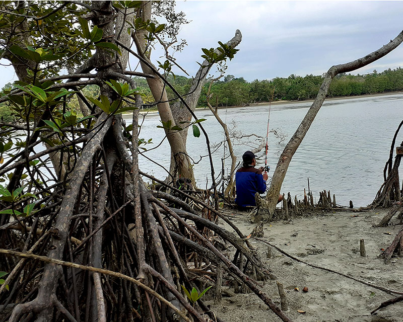 Jika Tsunami Menerjang Bengkulu: Tinggi Gelombang dan Waktu Evakuasi – Bagian&nbsp;2
