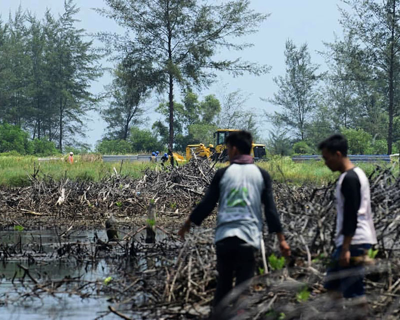 Sabuk Hijau Peredam Tsunami yang Hilang – Bagian&nbsp;3