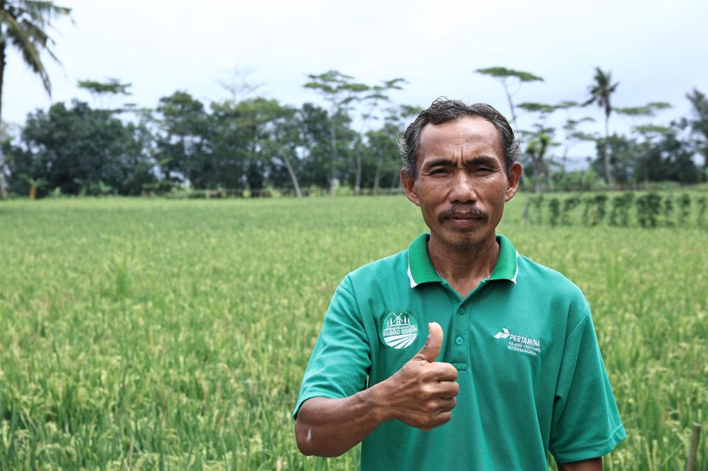 Energi Surya dan Angin Hidupkan Sawah&nbsp;Kalijaran