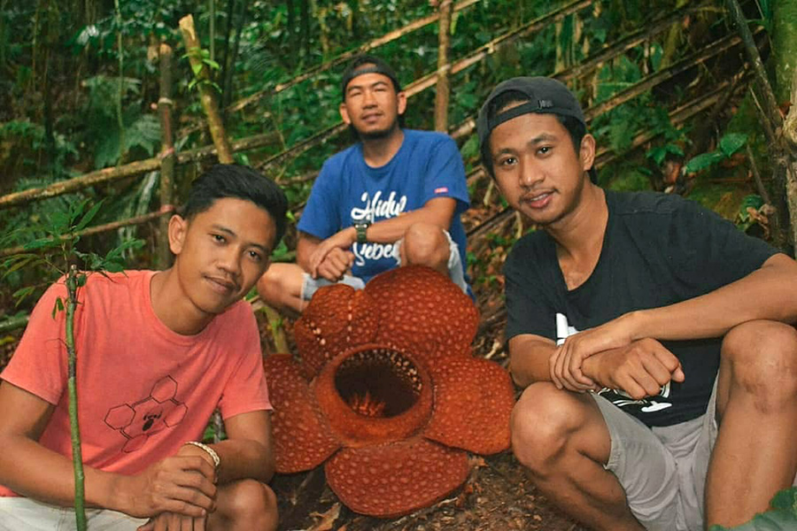 Mekar di Tengah Asap: Jejak Rafflesia dari Bengkulu ke&nbsp;Bogor