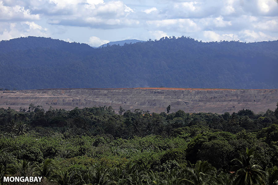 Hutan Bengkulu yang Kian&nbsp;Tersayat