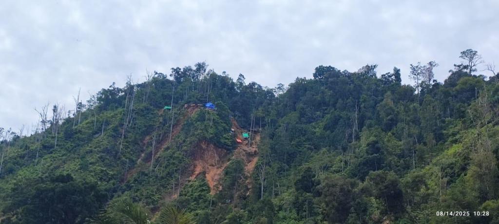 Pemerintah Tertibkan 321 Hektare Tambang Tanpa Izin di Kawasan&nbsp;Hutan
