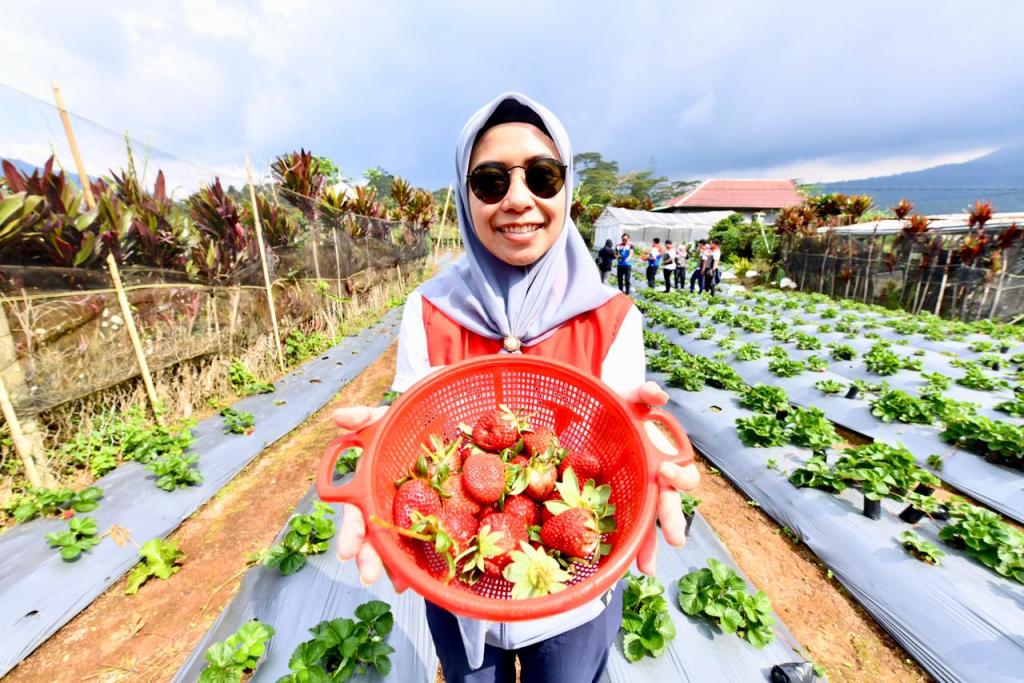 Energi Bersih dan Wisata Edukasi: Desa Rantau Dedap Jadi Wajah Baru Transisi Energi&nbsp;Pertamina