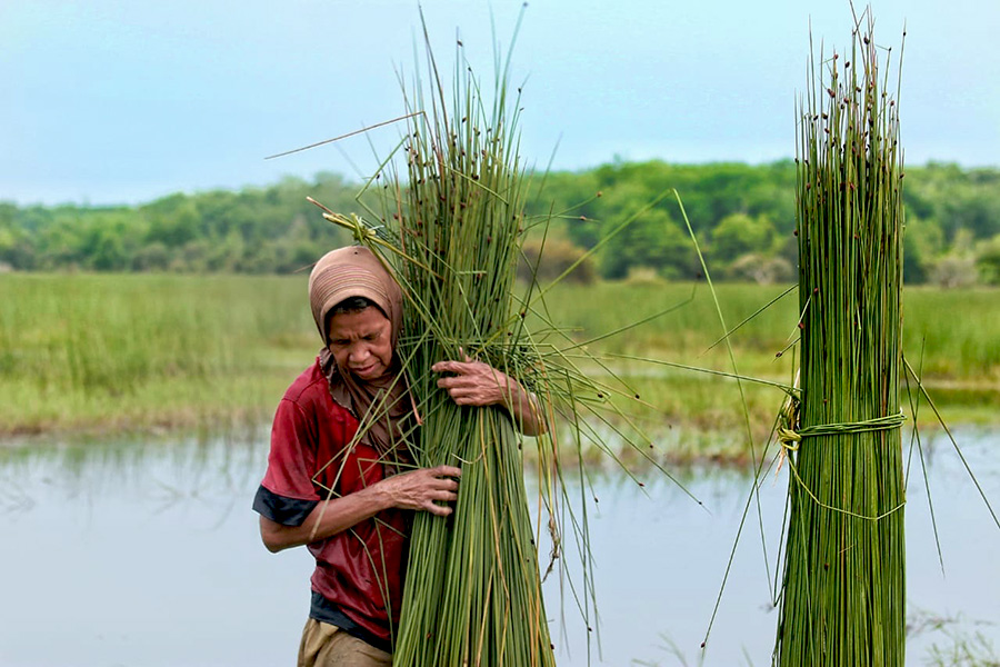 Lahan Basah dan Jejak Peradaban di Pesisir Timur&nbsp;Sumatera