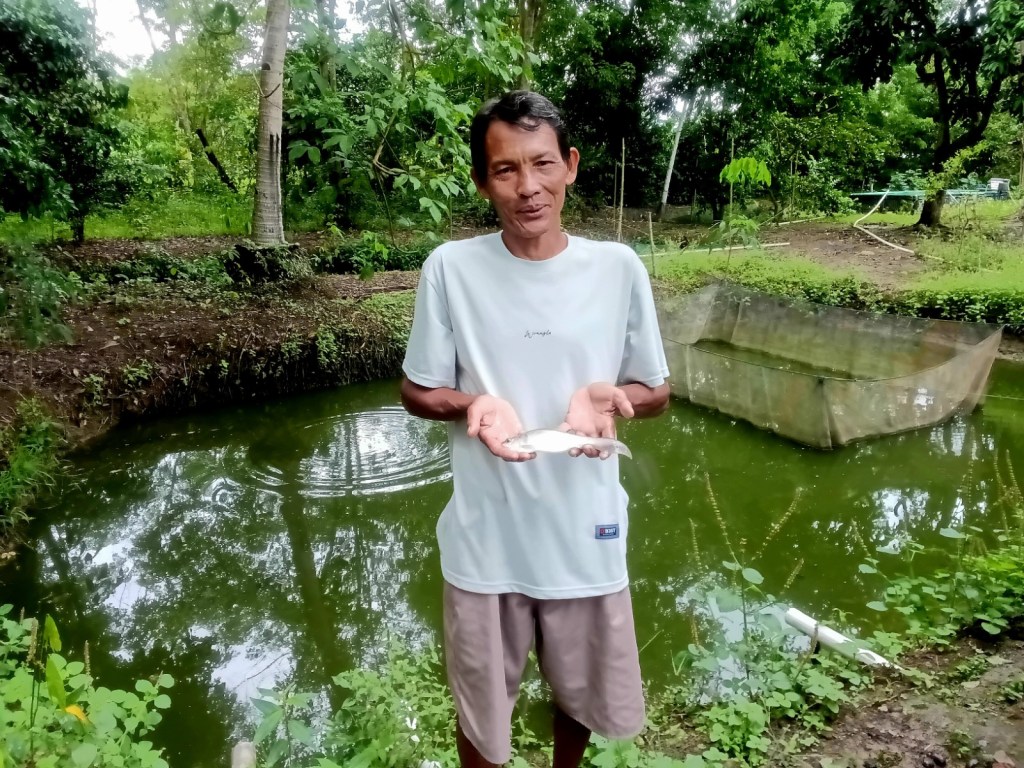 Belida, Sungai, dan Kolam Harapan di Sungai&nbsp;Gerong