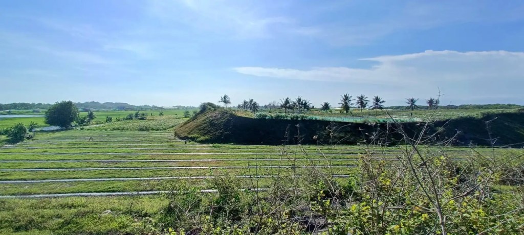 Benteng Alami Penahan Tsunami di Selatan Jawa Terancam Penambangan&nbsp;Pasir