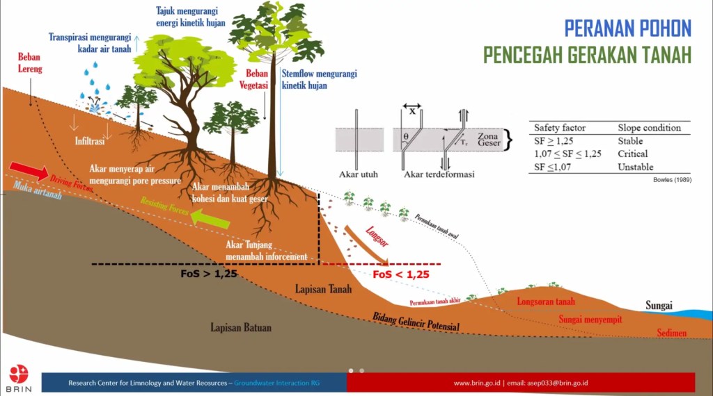 Banjir dan Longsor Kian Sering, BRIN Tekankan Nature Based Solution