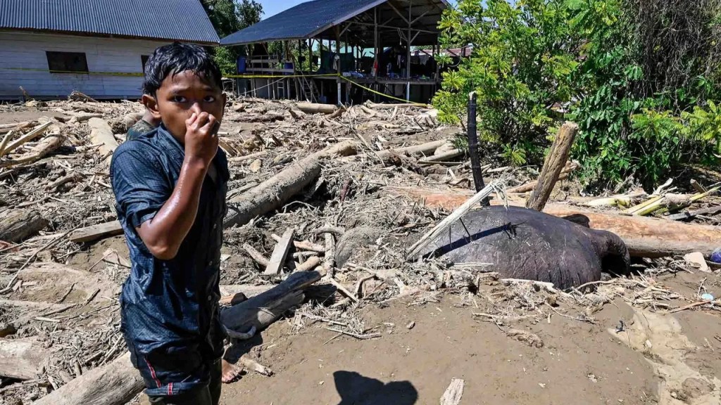 Gajah Sumatera Ditemukan Mati Terseret Banjir Bandang di Pidie&nbsp;Jaya