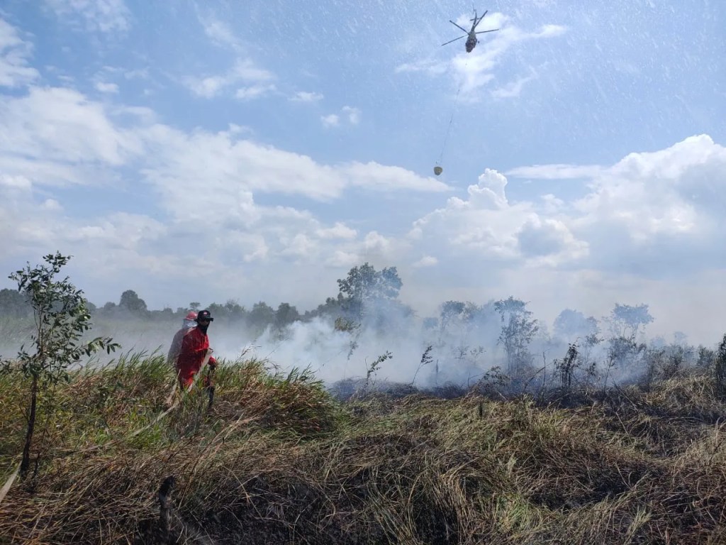 Sumsel dalam Kepungan Asap